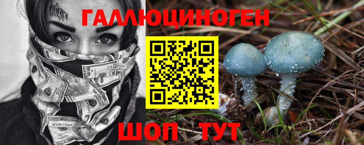 Псилоцибиновые грибы Cubensis Жуковский