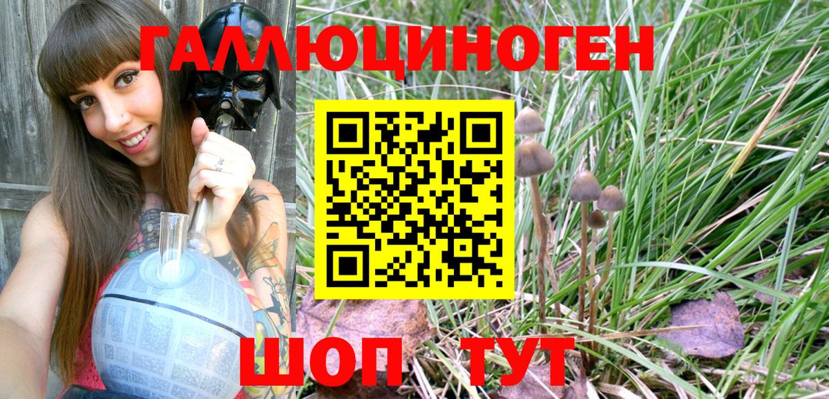 Галлюциногенные грибы прущие грибы Жуковский